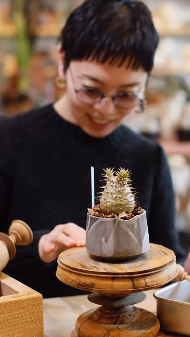 芽の巣山 (@menosyama) • Facebook