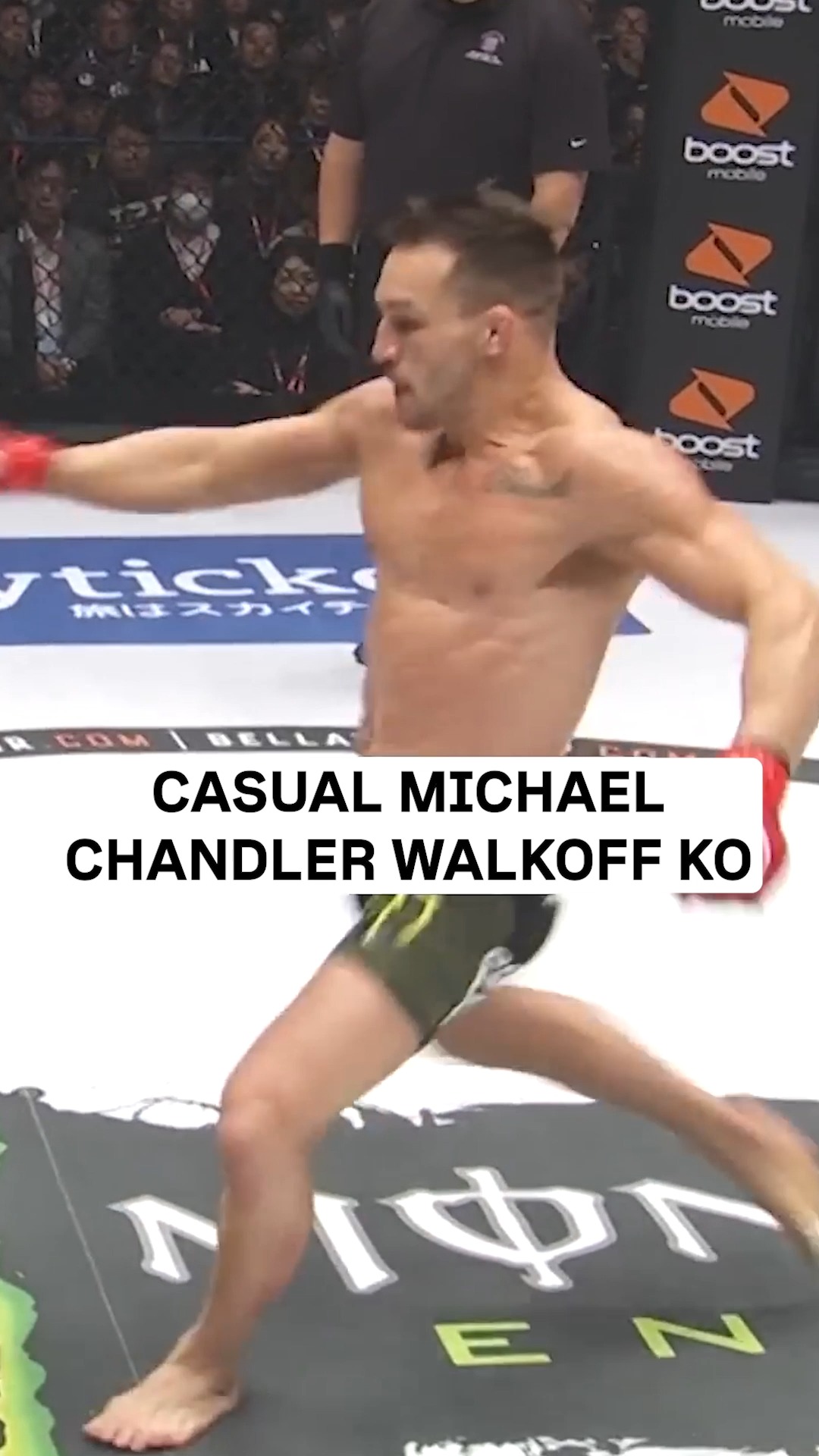 Bellator MMA (@BellatorMMA) • Facebook