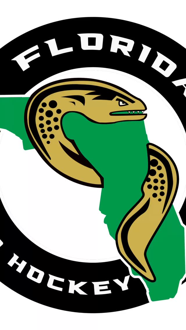 Beyond the Boards: with Nikki Scarpaci Fliss 🎤Spencer Hambling #usphl # ...