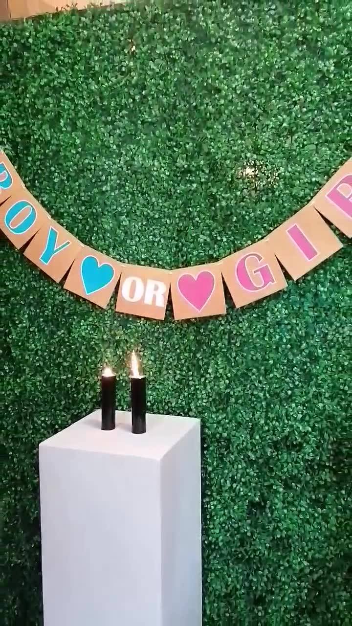 Vela de humo para Gender Reveal, Disponible en ambos colores, Rosa y ...