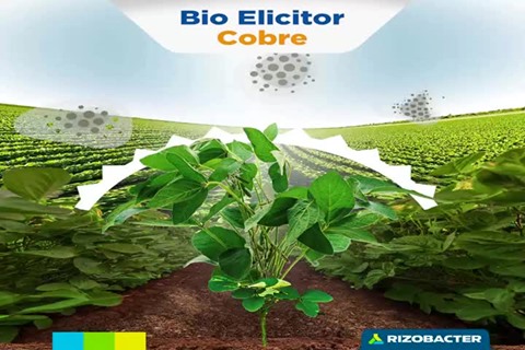 Bioelicitor Cobre es un protector fungico ideal para mejorar la ...