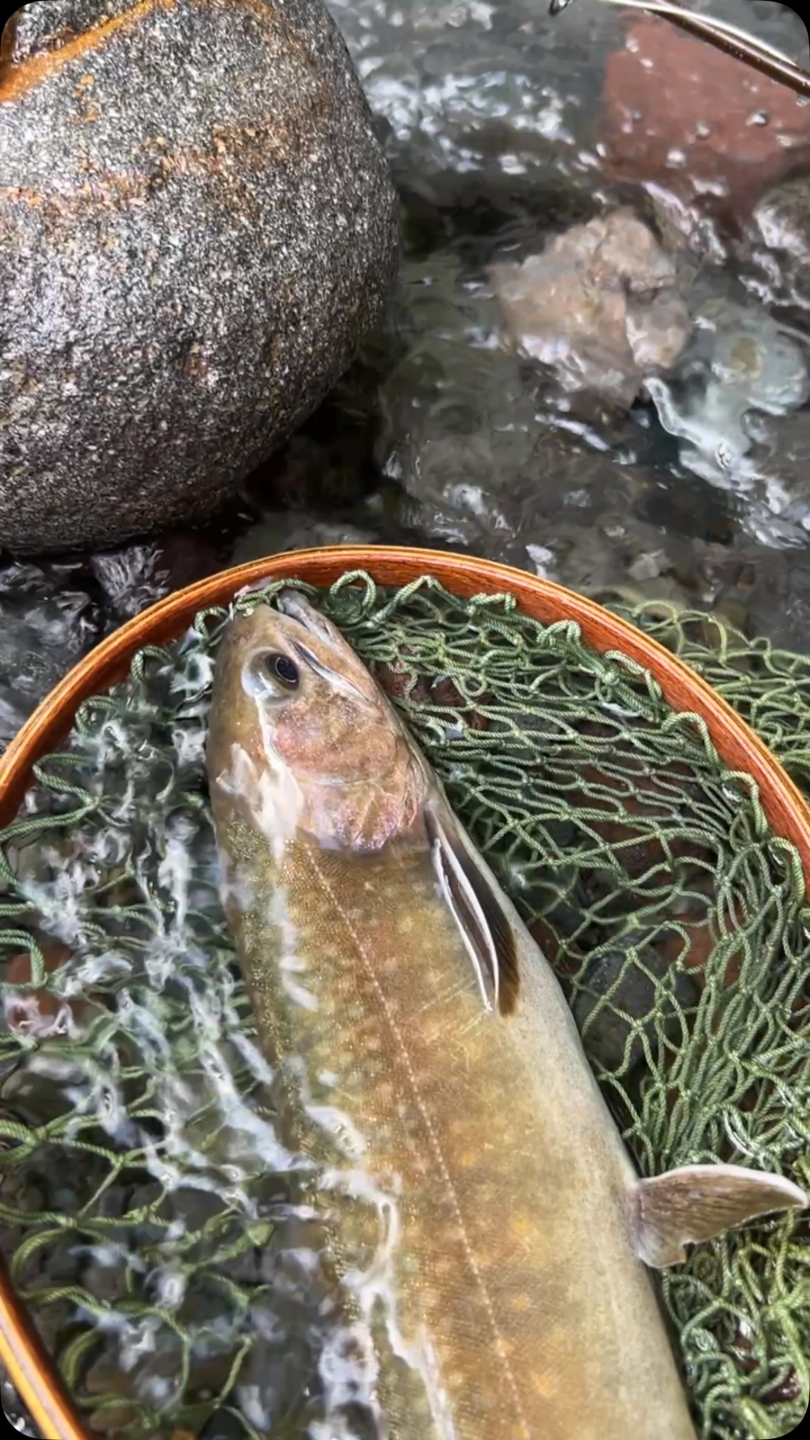 FlyFisher (@FlyFisherMagazine) • Facebook