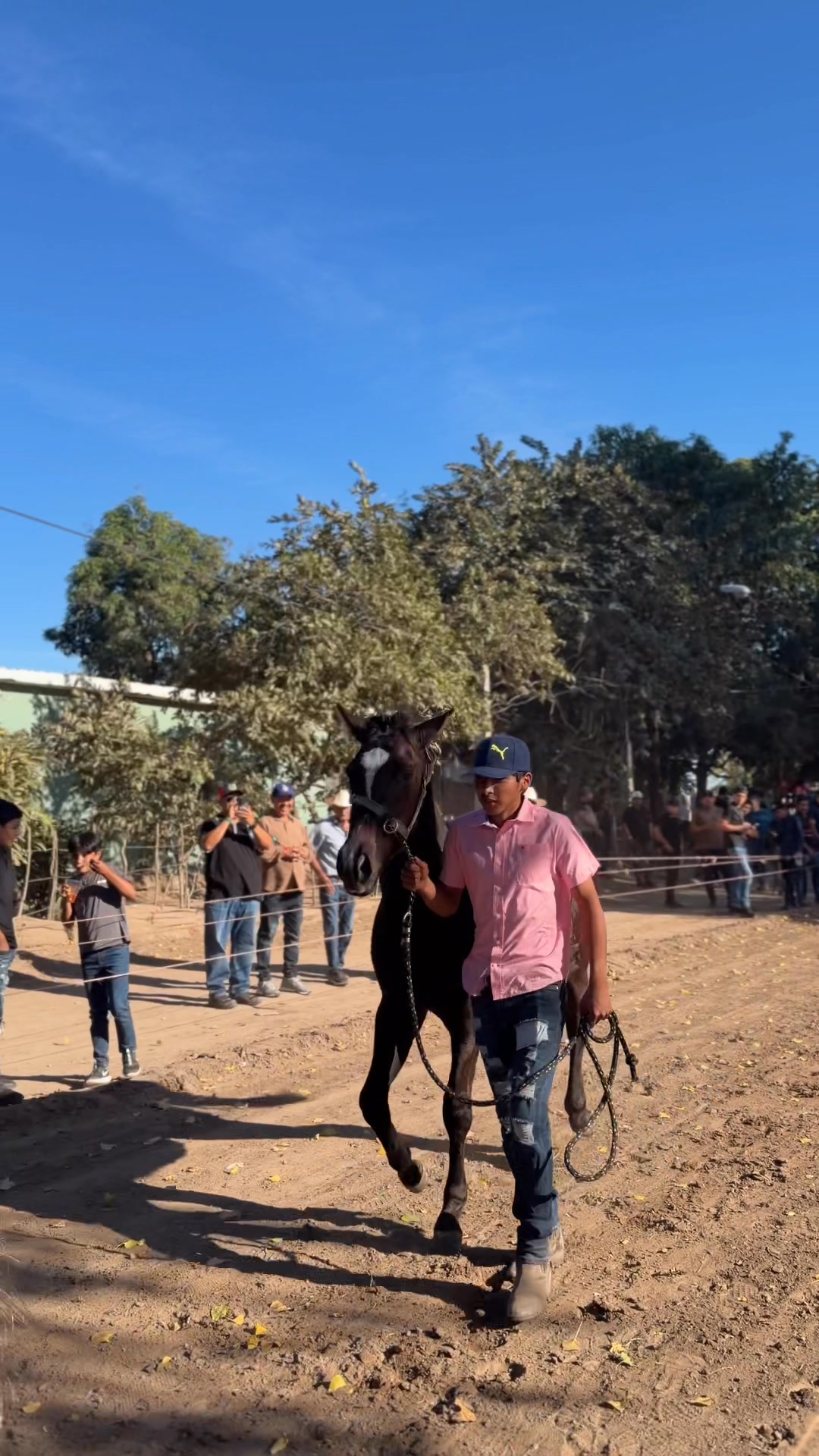 El Molino Ranch - Les trae algún recuerdo ver estas imágenes 🌐 | Facebook