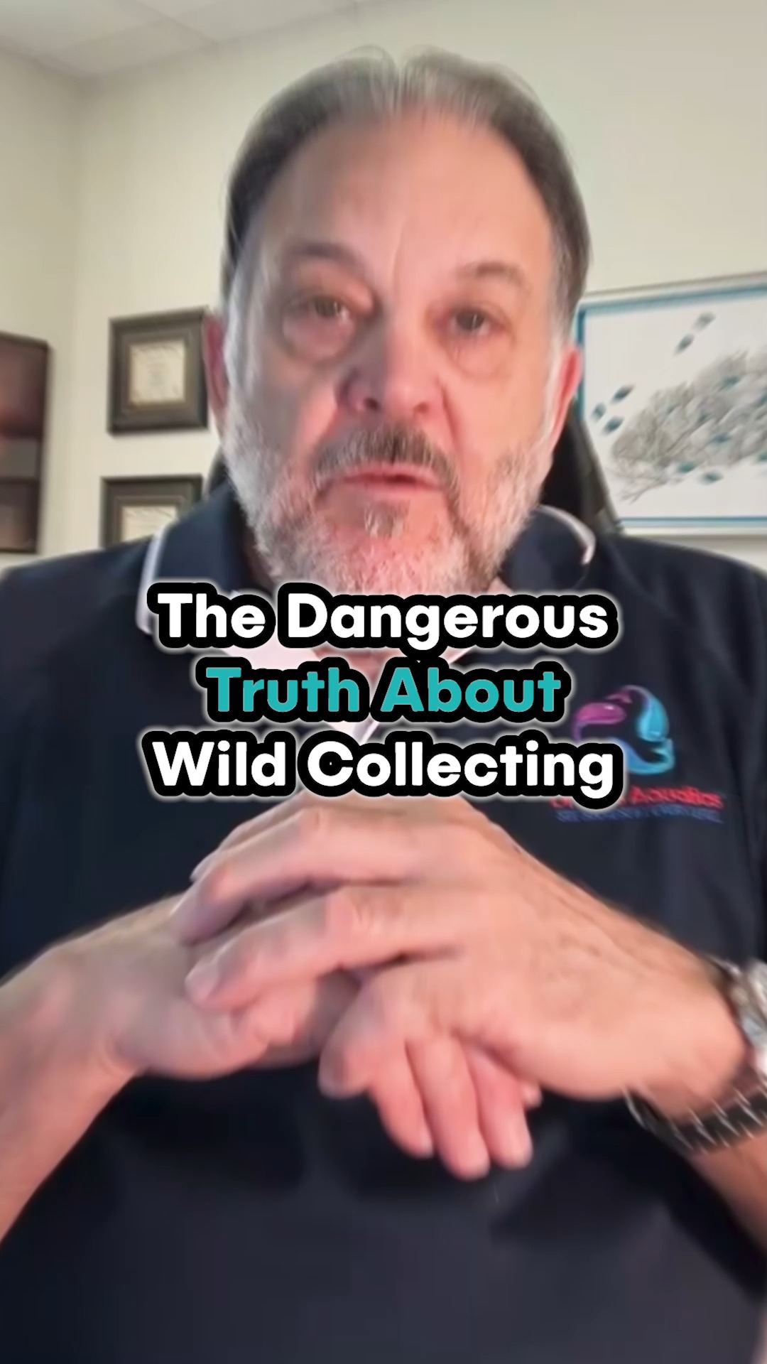 The Dangerous Truth About Wild Collecting Before collecting shells or ...