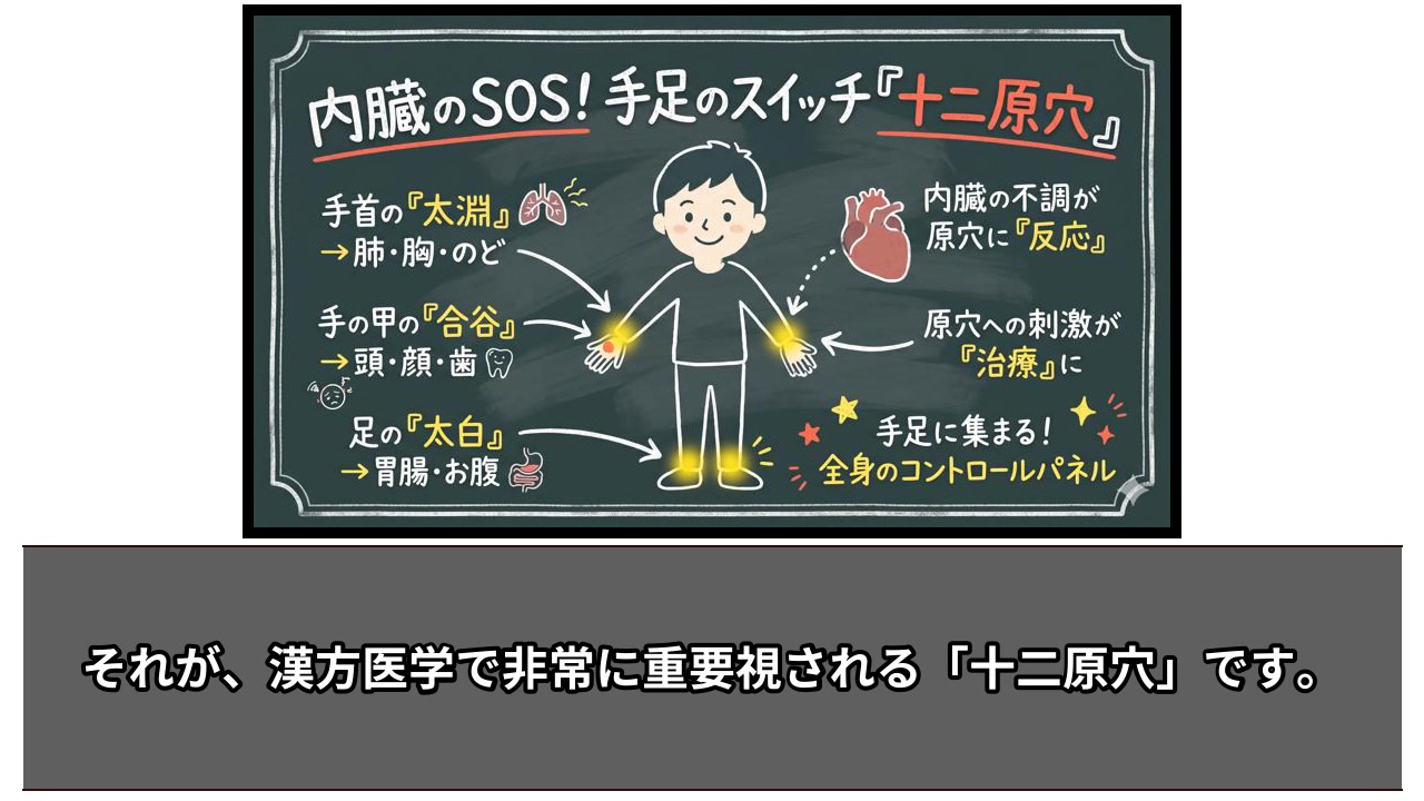 究めるエキス漢方大全』著者インタビュー！】 新刊『究めるエキス漢方