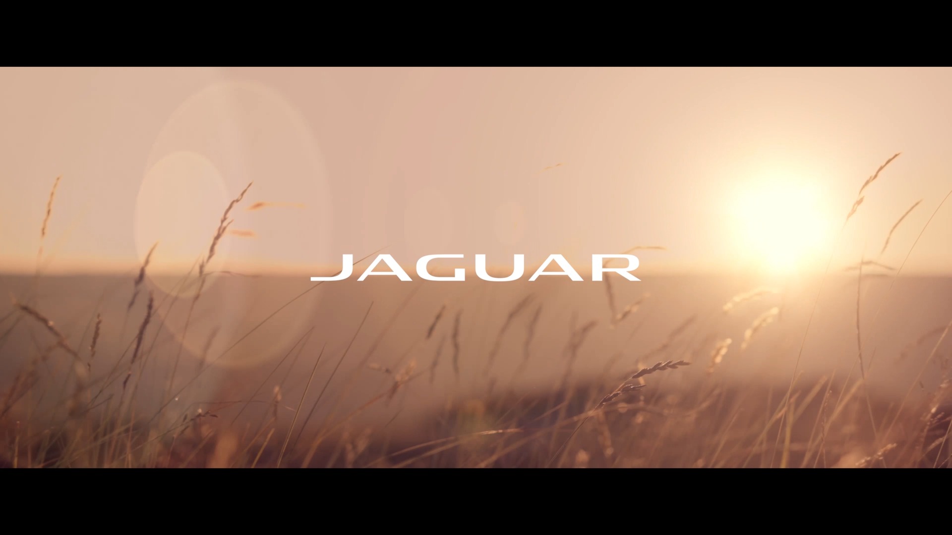 Jaguar Solon | Solon OH