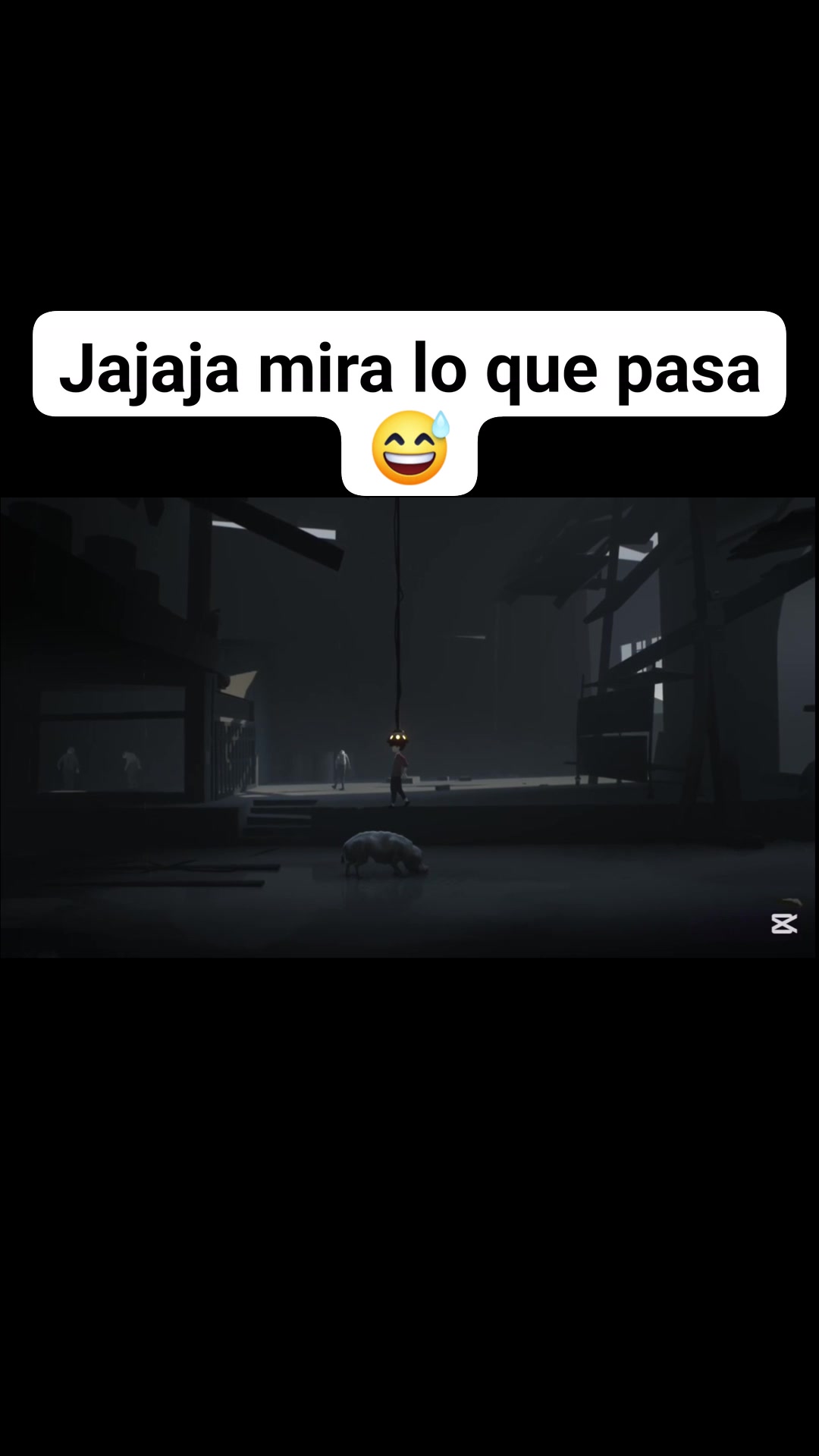 papi javi