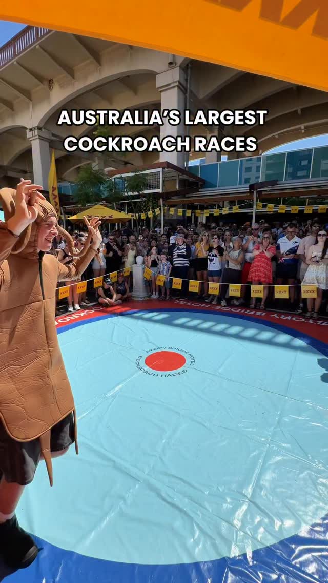 [ NEWS ] Australia’s Largest Cockroach Races Just Took Over Brisbane 🪳🔥 ...