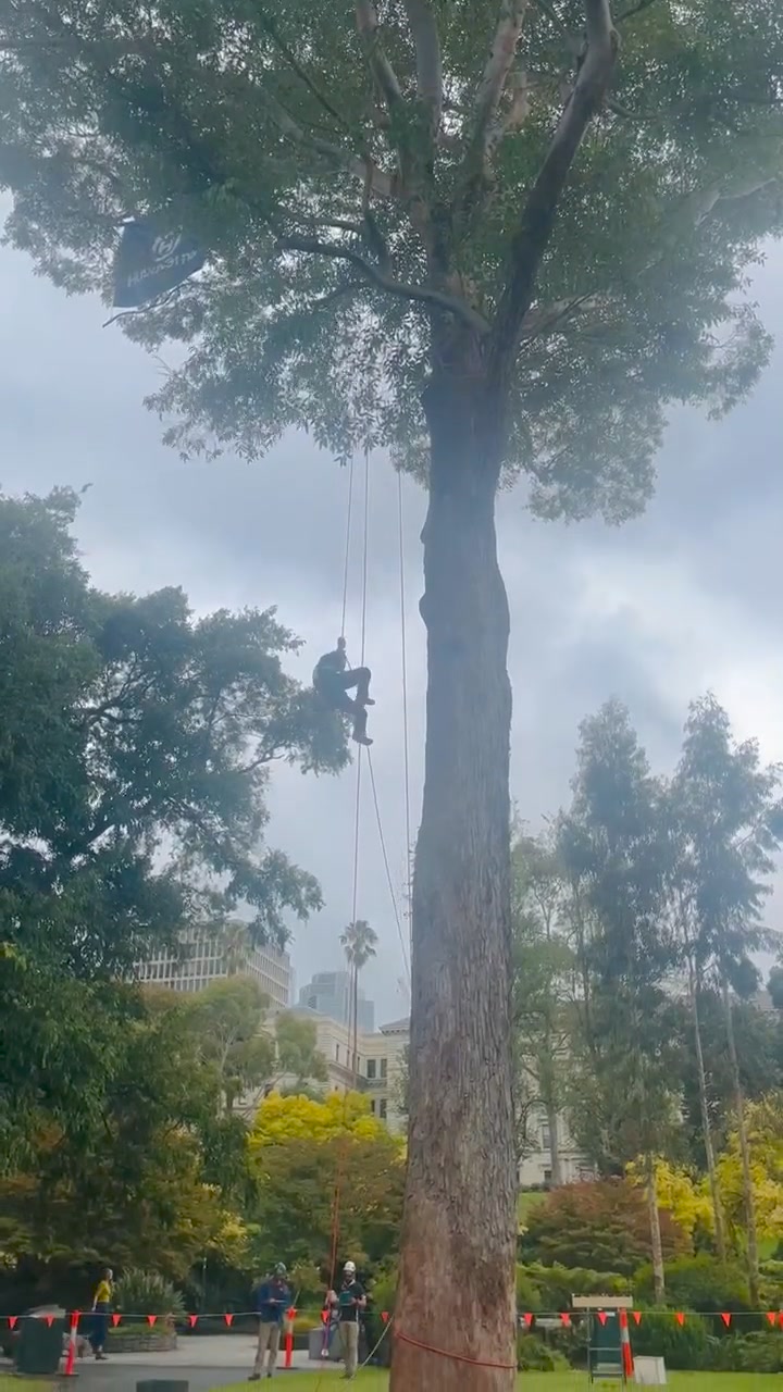 Arb Aus 2024 Australian Tree Climbing Championship, in association with ...