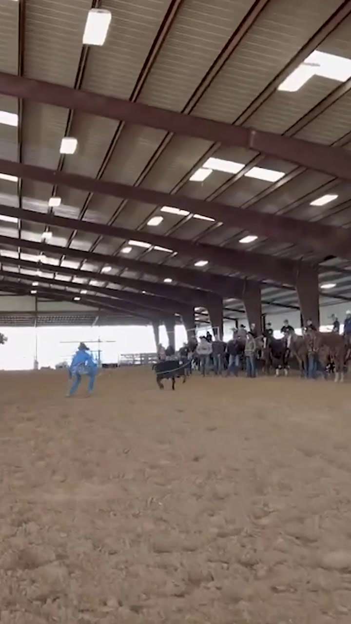 Take the next step in your roping journey with instruction from Stran ...