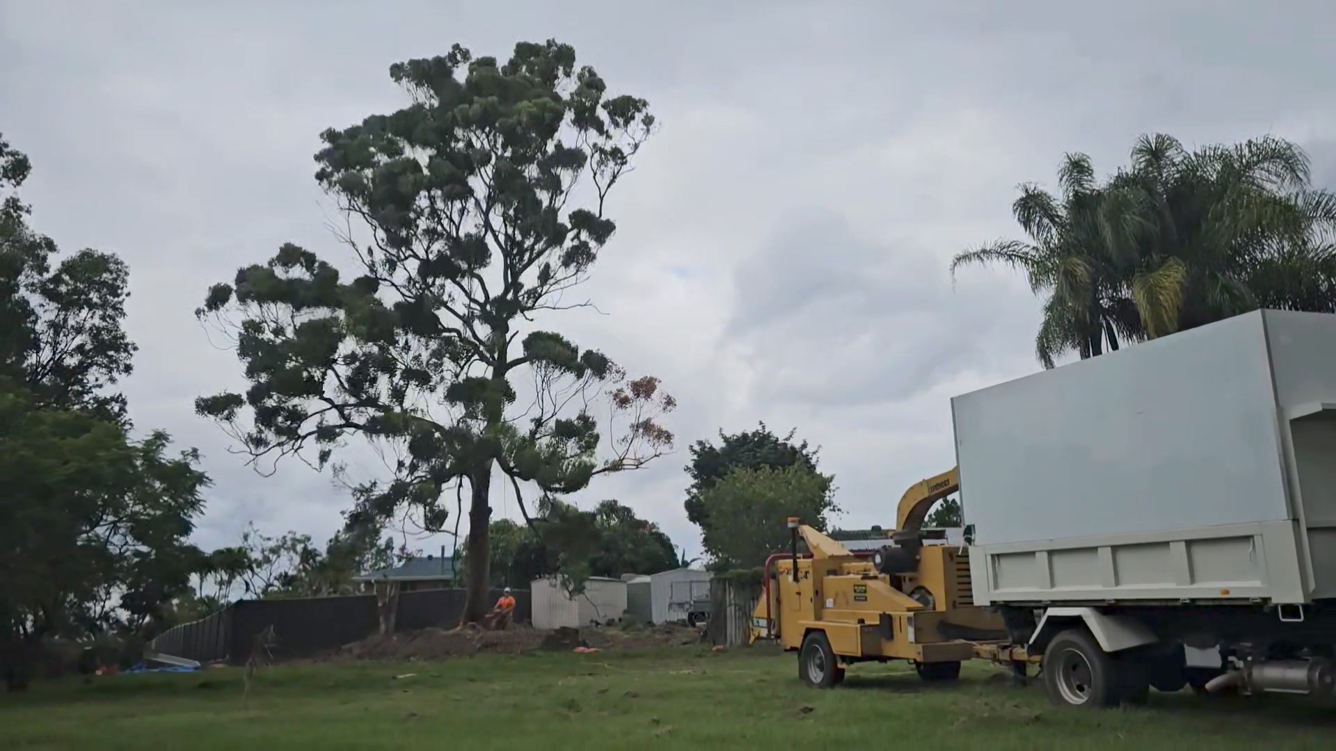 Tip Top Tree Services Gold Coast