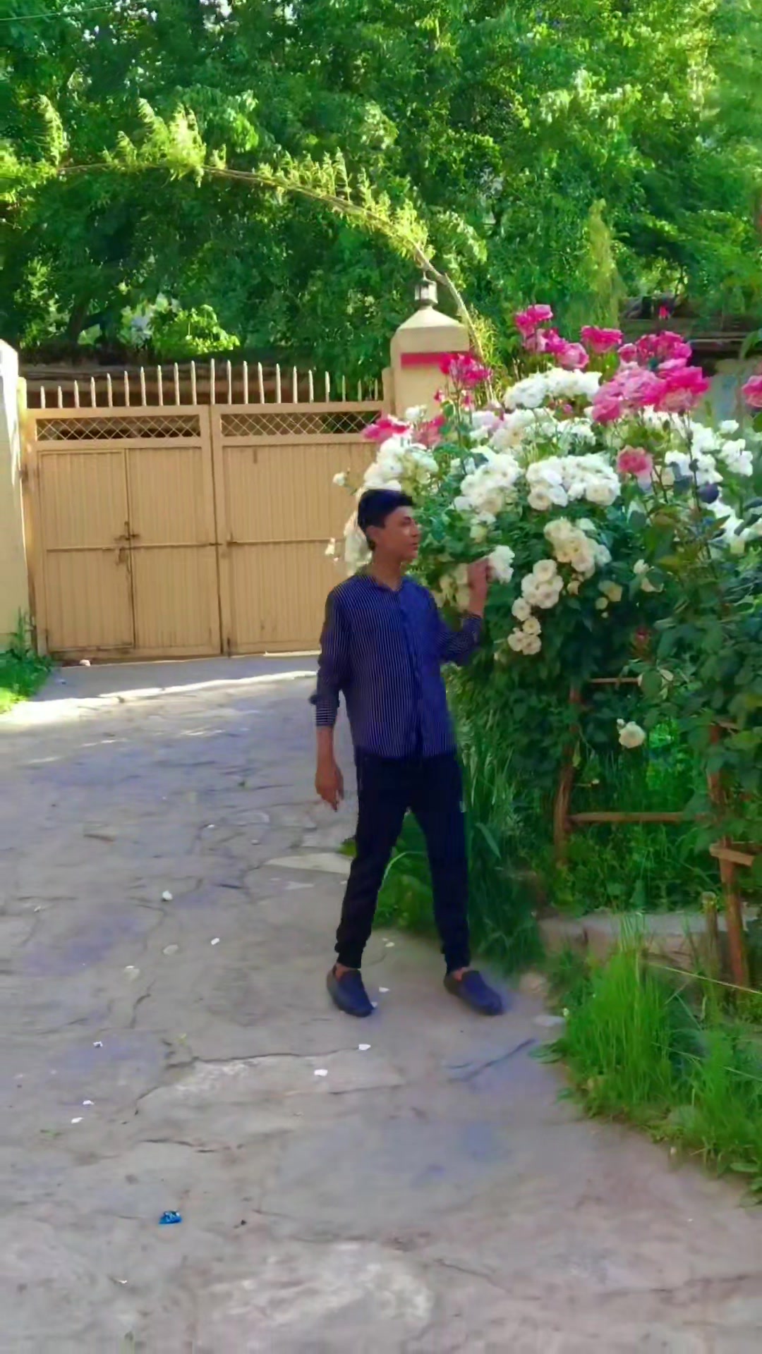 My Sweet Home 💝 #foryoupagereels #viralvideochallenge #homesweethome ...