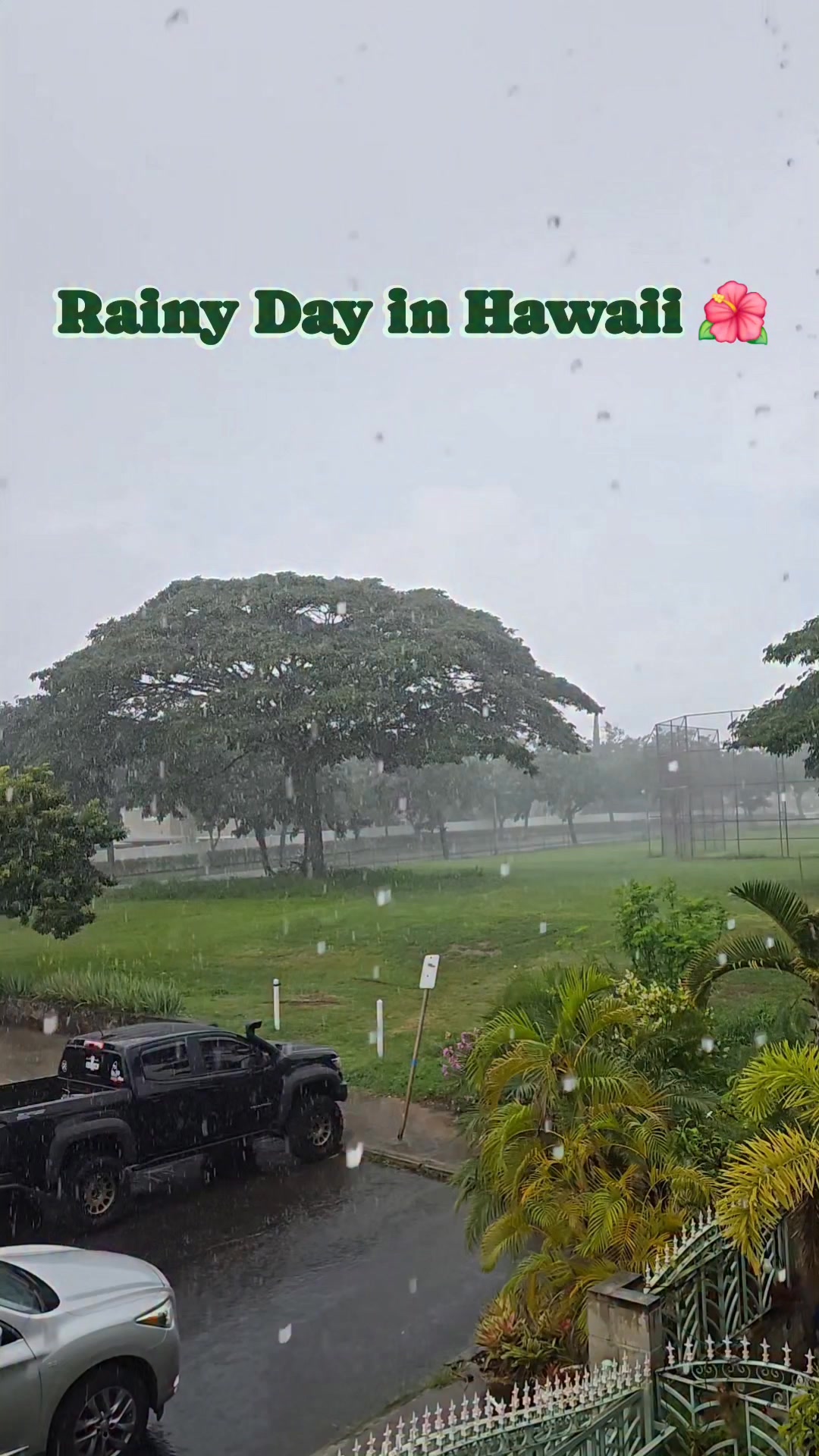 It's a rainy day in Hawaii. Keep safe everyone. 🌺🤙🇺🇸 #Hawaii #Oahu # ...