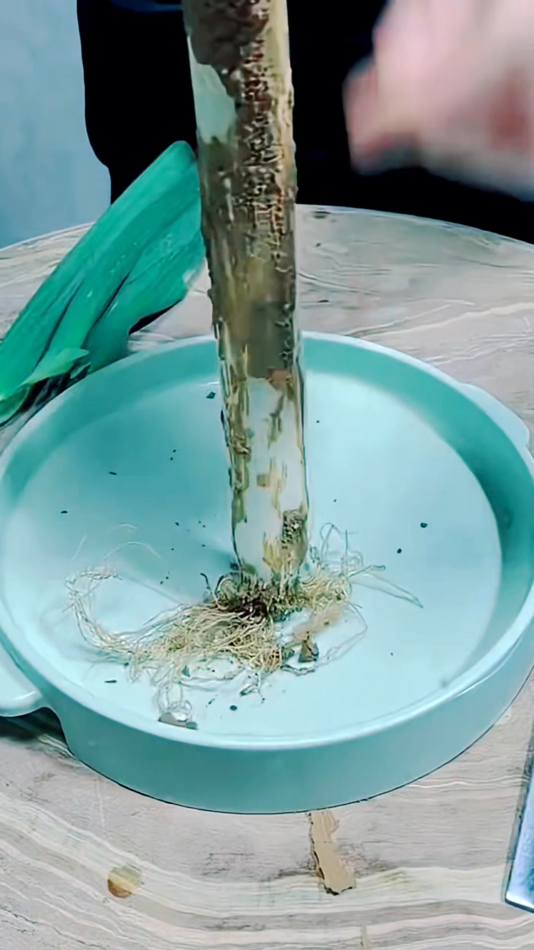 How to clean spring onion trick in Chinese style 🤩👏🏻 #asmr #cleaning # ...