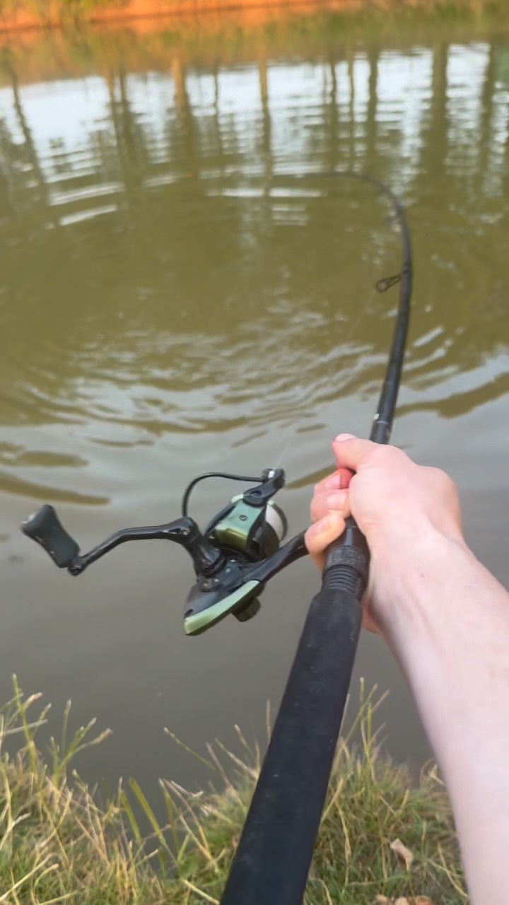 carp float fishing reels 3 Feeder 2/3oz Surface Running Floating Feeder Method Bait Holder Coarse Terminal Tackle : Sports & Outdoors Simple But Crazy  Margin