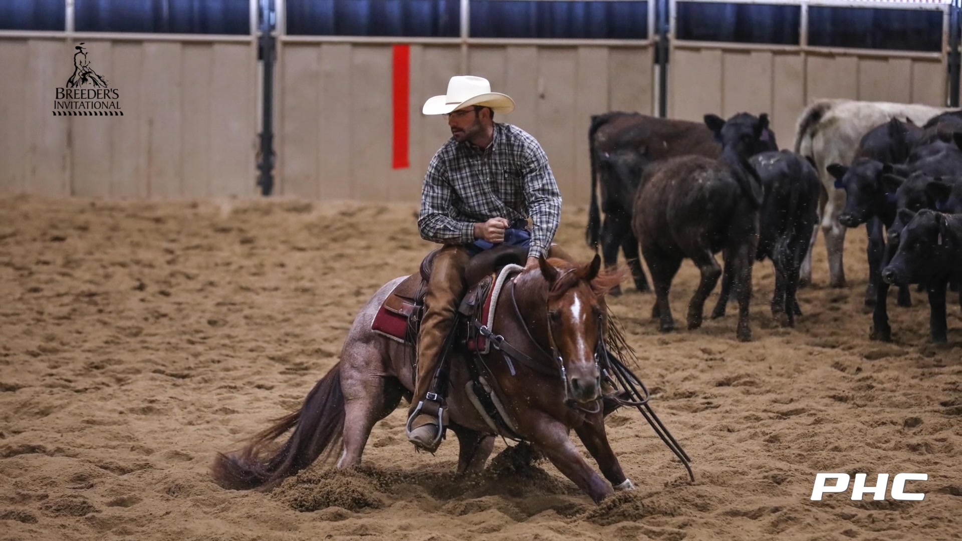 Take a look at these #PHC photo highlights from the Breeder's ...