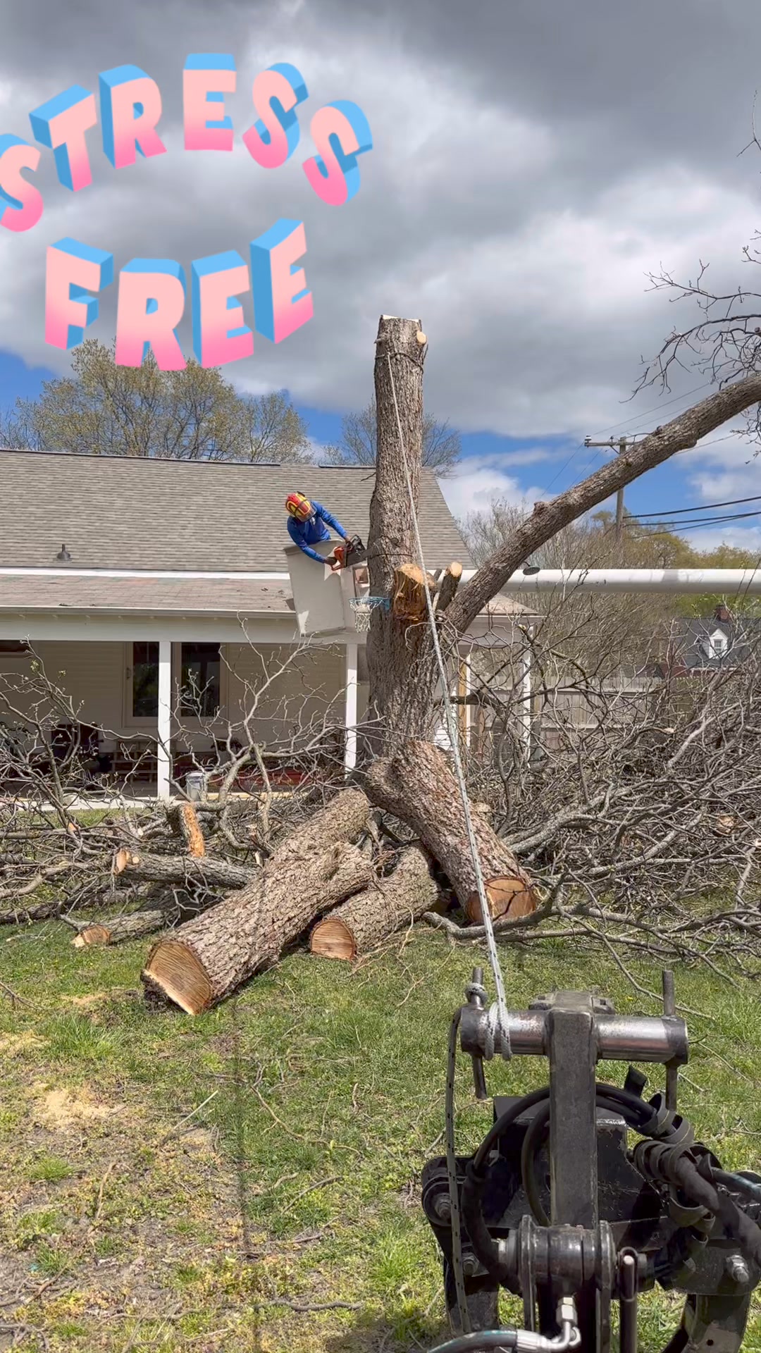 Amg Lawn & Tree Services