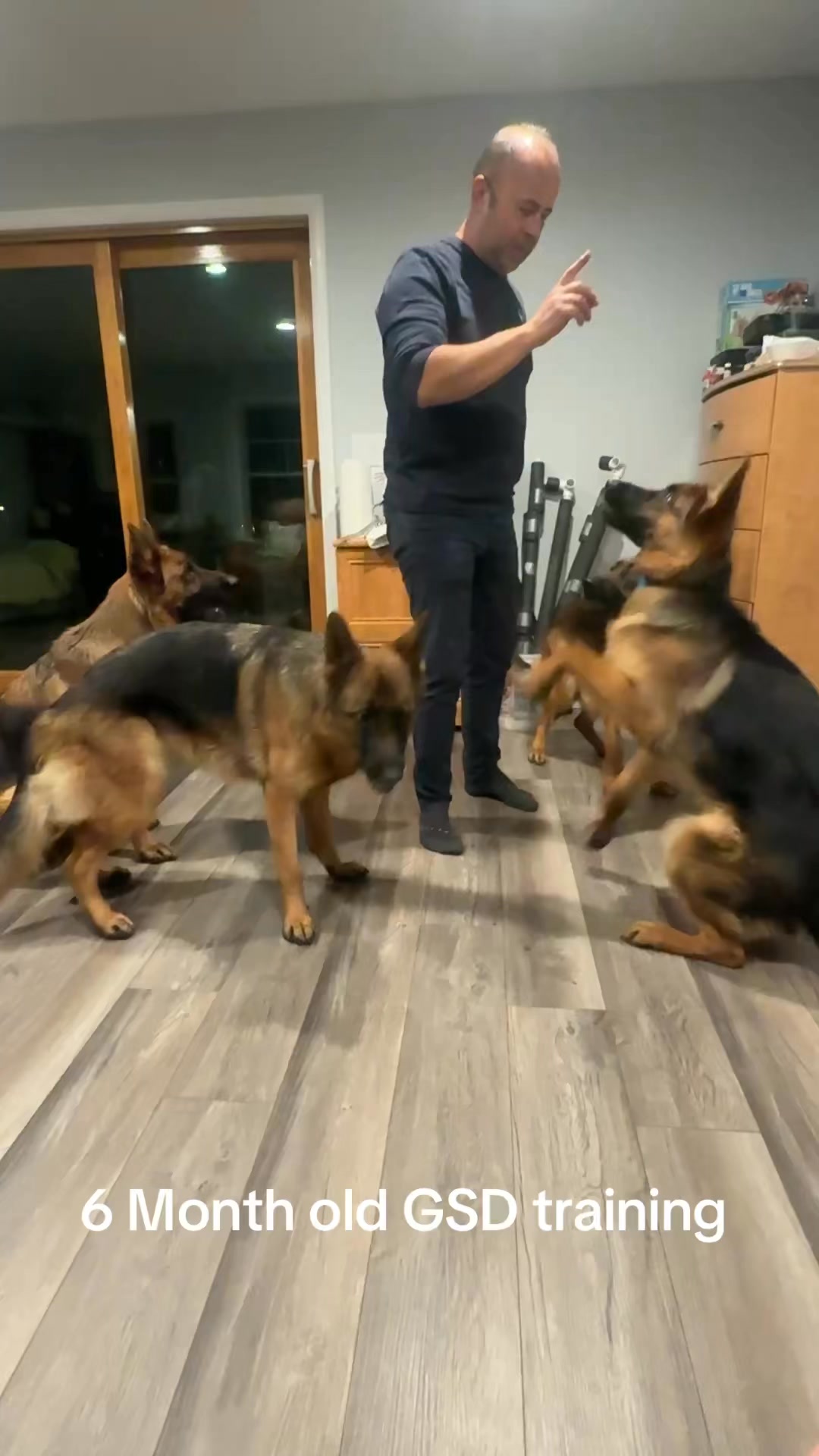 Its fun to watch how puppies learn from older dogs #VonPalmoreHof # ...