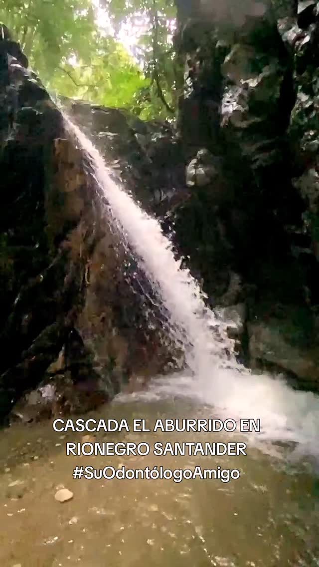 #SuOdontólogoAmigo #Bogota #Capi #Capitanejo #Cartagena #Málaga # ...