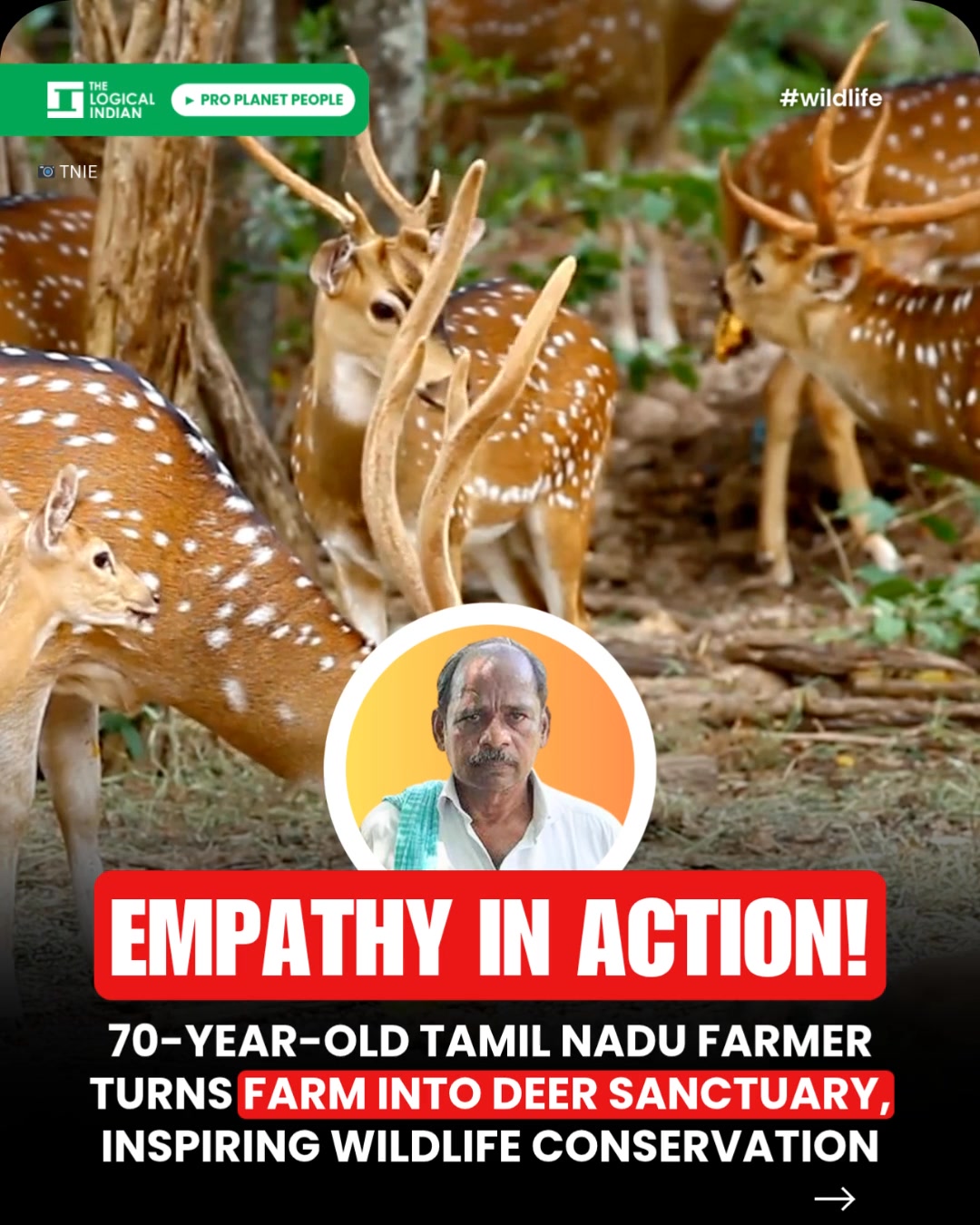 👉Follow The Logical Indian R Gurusamy, a 70-year-old farmer from ...