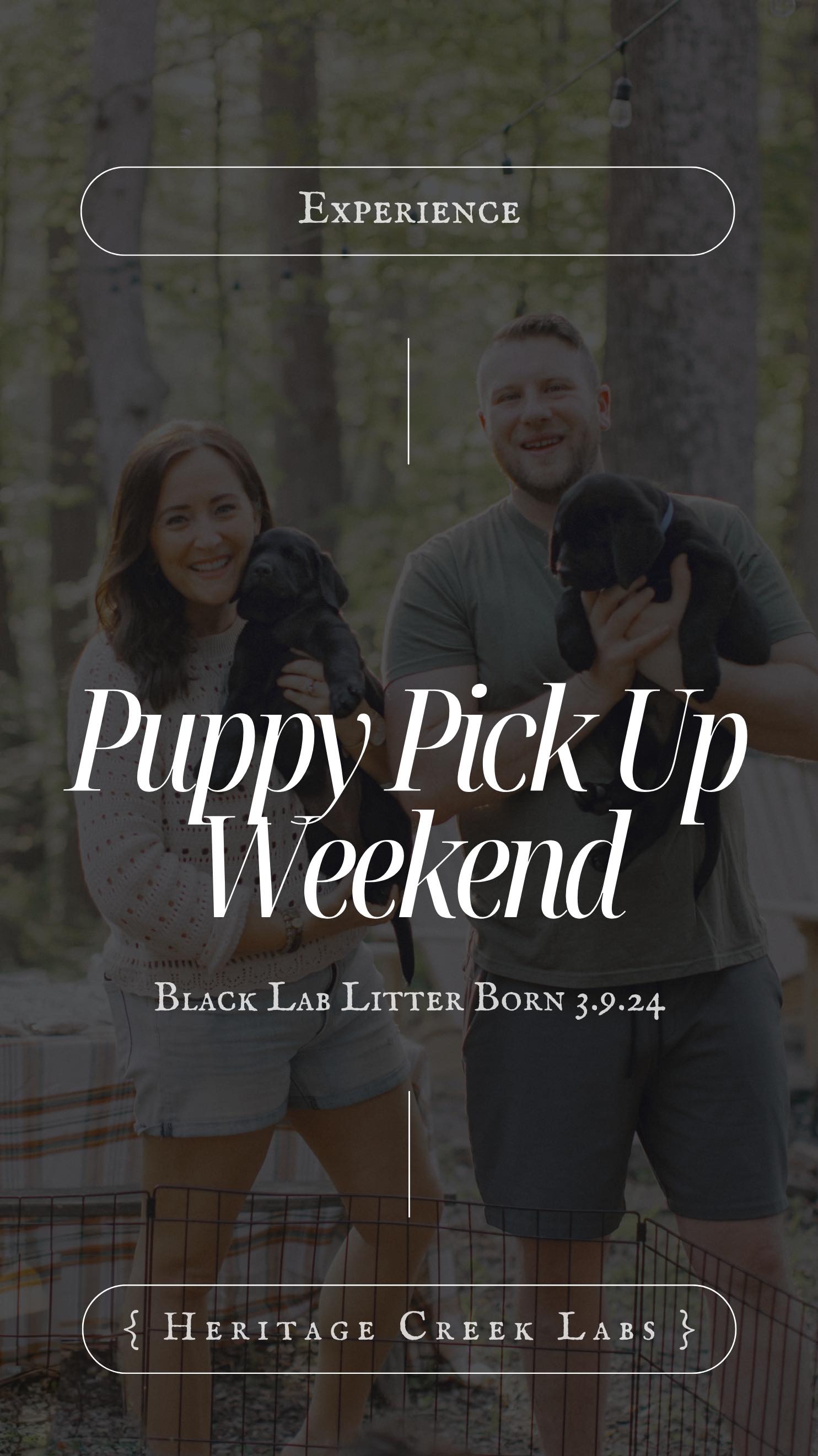 A glimpse into one of our sweet Puppy Pick-Up events 🐾 This special ...