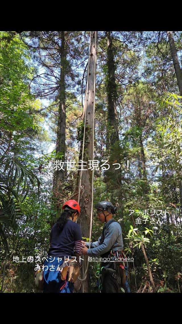 Social Green Projects in Nagareyama (@myMORIdesign) • Facebook