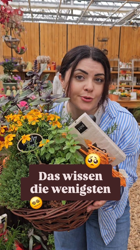 Ganz ehrlich: So ein Kräuterkorb wirkt halt direkt 10x persönlicher als irgendein Strauß von der Tankstelle 🌿😅, Ein paar Kräuter, ein schöner Korb, bisschen Deko dazu – fertig ist ein Geschenk, das