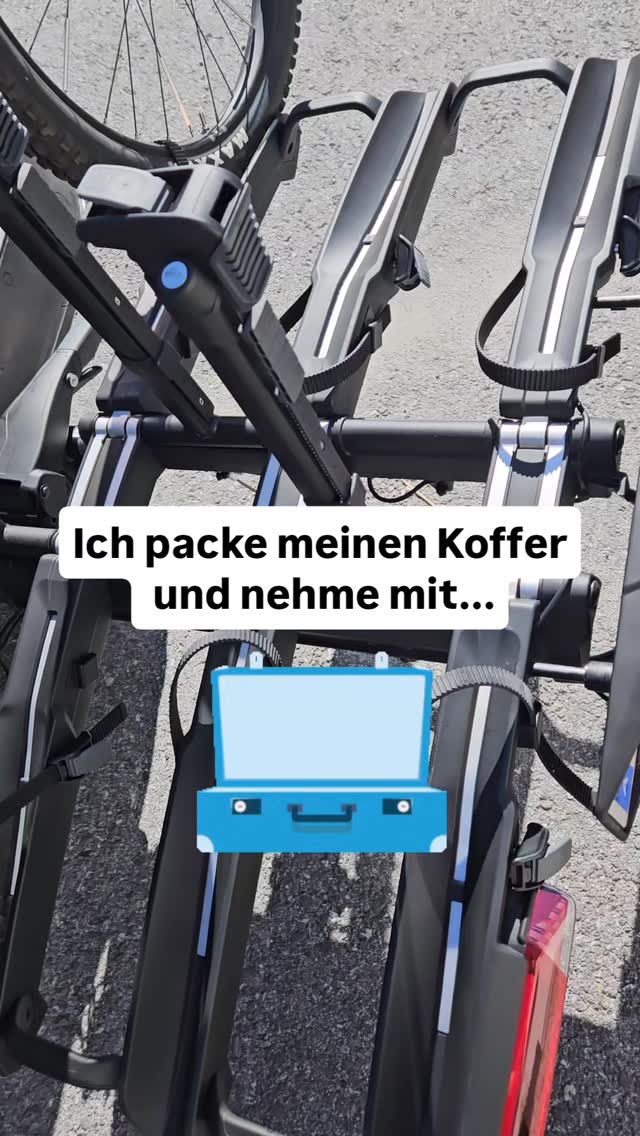 cortina fahrrad kaufen U4 Transportrad Hollandrad Damenrad 28 Zoll, 7-Gang Shimano Ne – Rahmen & Zubehör Farbe:AMARONE'N'LUNAR Vintage Damenrad Peugeot Lady