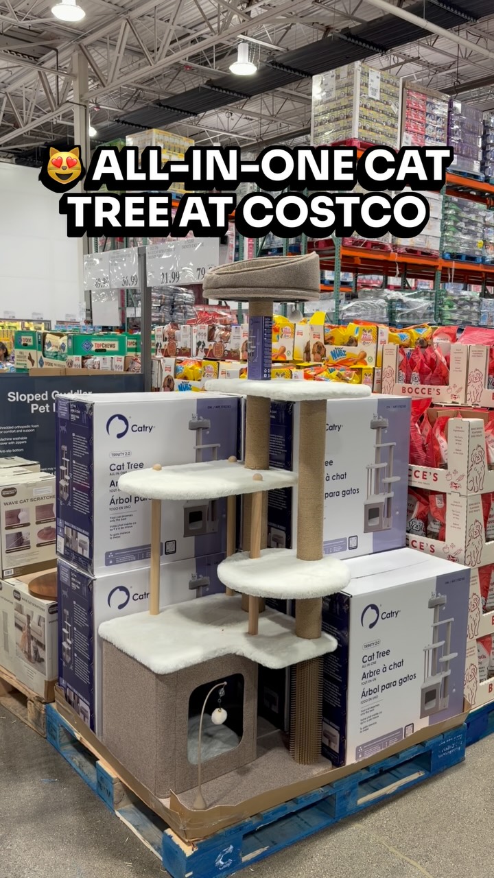 🐱 Cat parents this Catry Trinity 2.0 Cat Tree at Costco is such