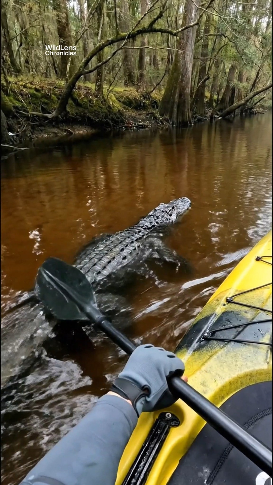 NOPE. 🚫 There are two types of fear in this video. First, the fear of ...