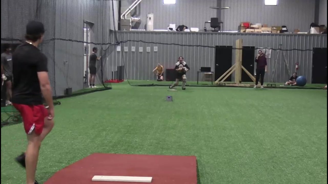 Why do we love bear crawl variations? Serratus Anterior Recruitment ...