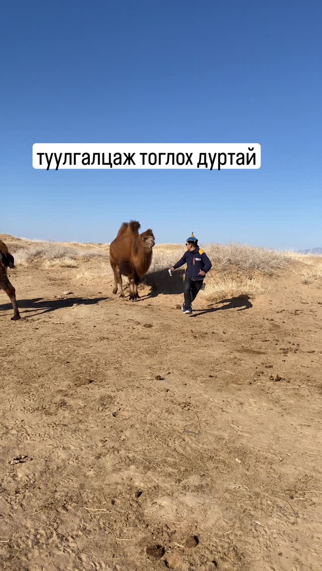 тээр жилийн цагаан сараар тэмээгээ услангаа #gurvantes #гурвантэс # ...