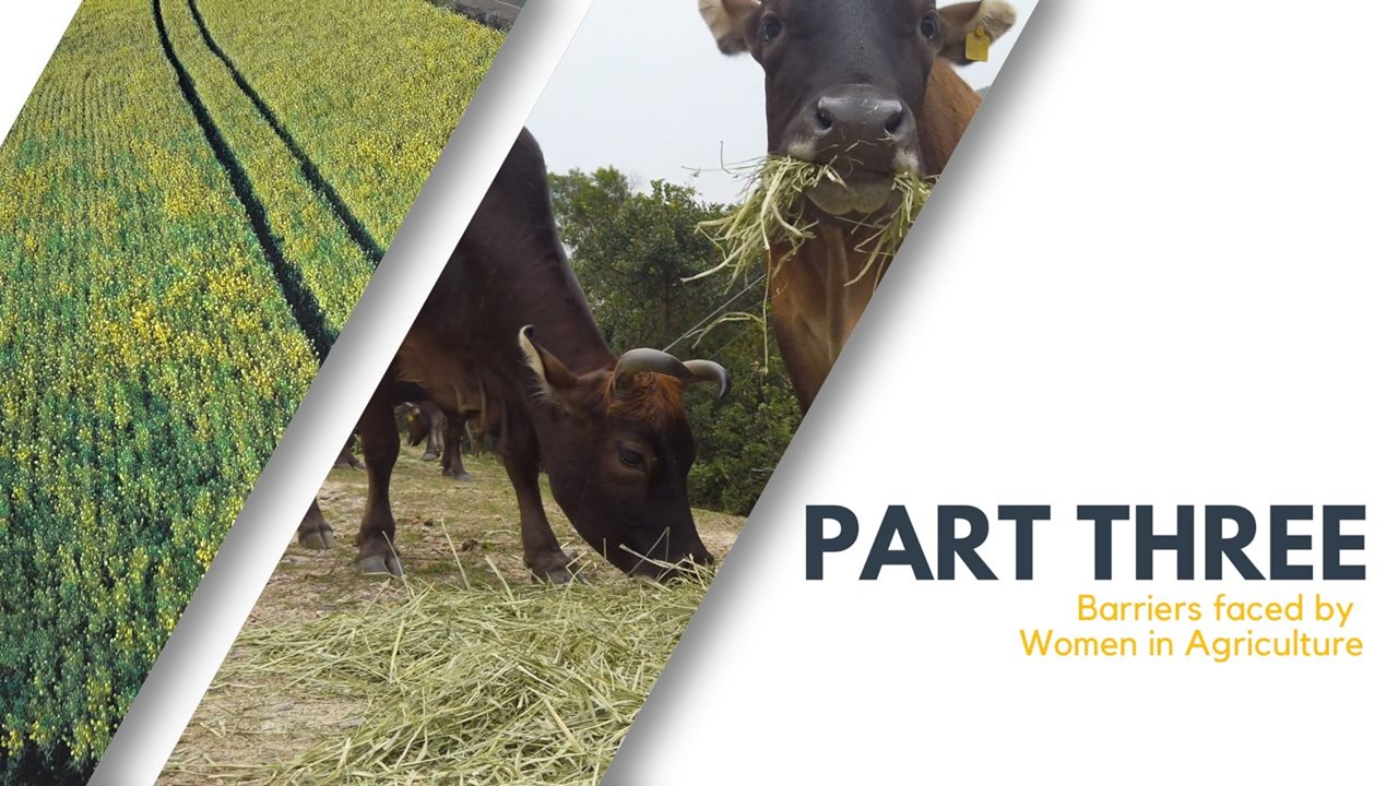 Part 3: Barriers faced by Women in Agriculture | This week, we are ...