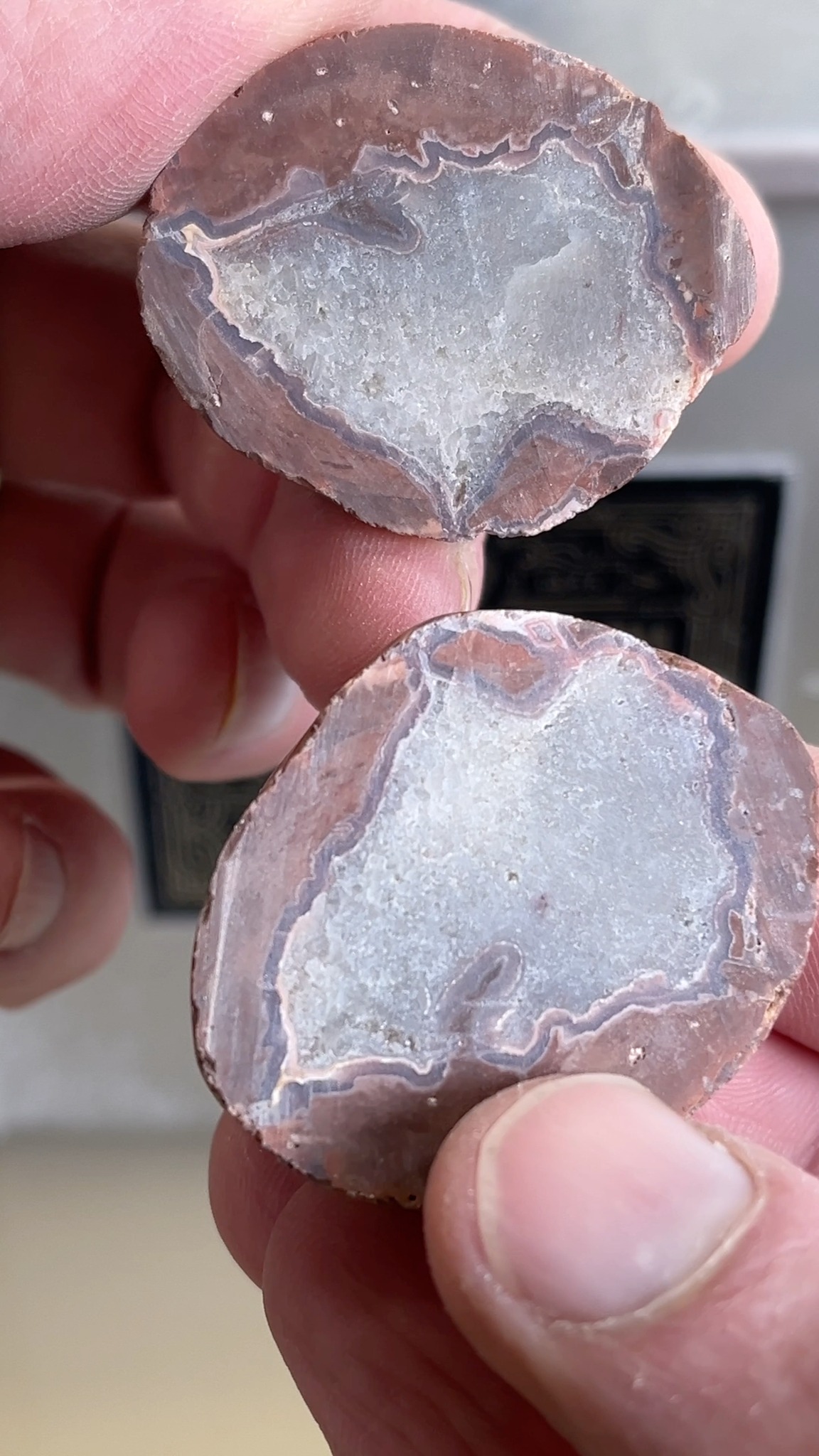 Michigan Rocks