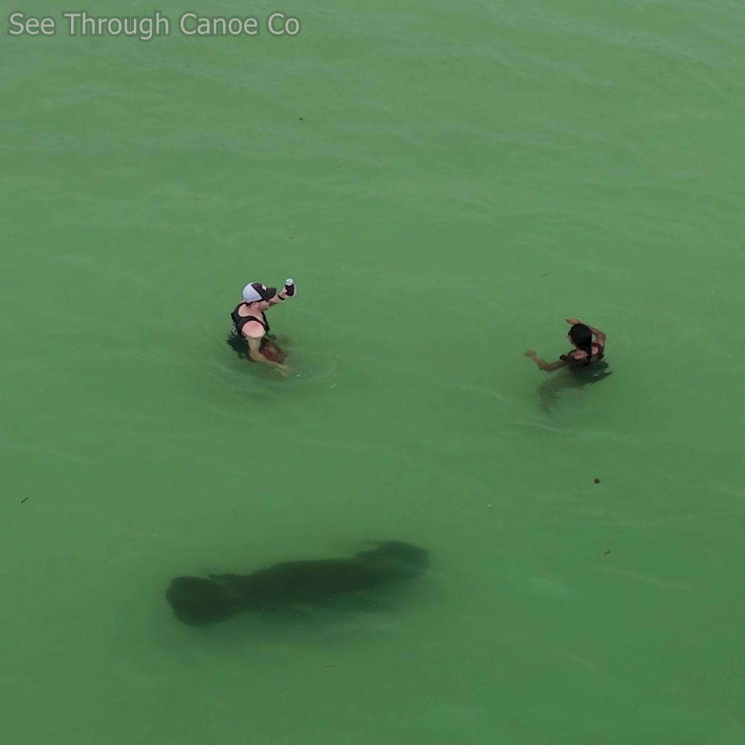 Look, a drone! People at the beach staring and waving at a drone while ...