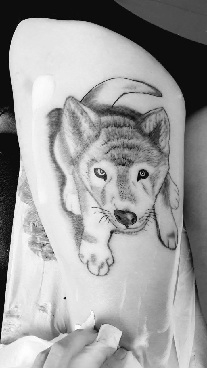 Bebe Loup Merci Pour Votre Patience Ink S Legacy Tattoo