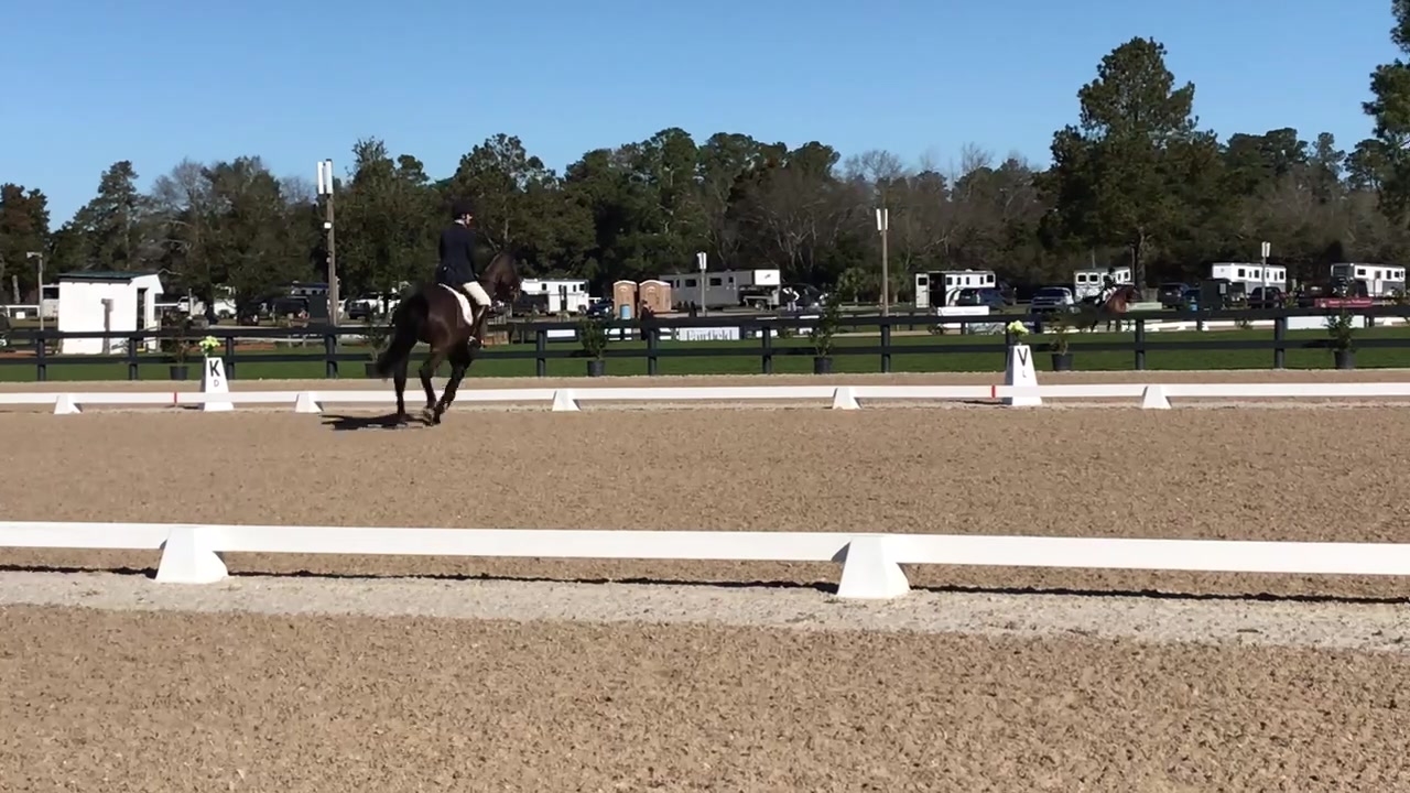 Wehle Farms - Bruce’s Field Dressage - Lucien Rouse’s...