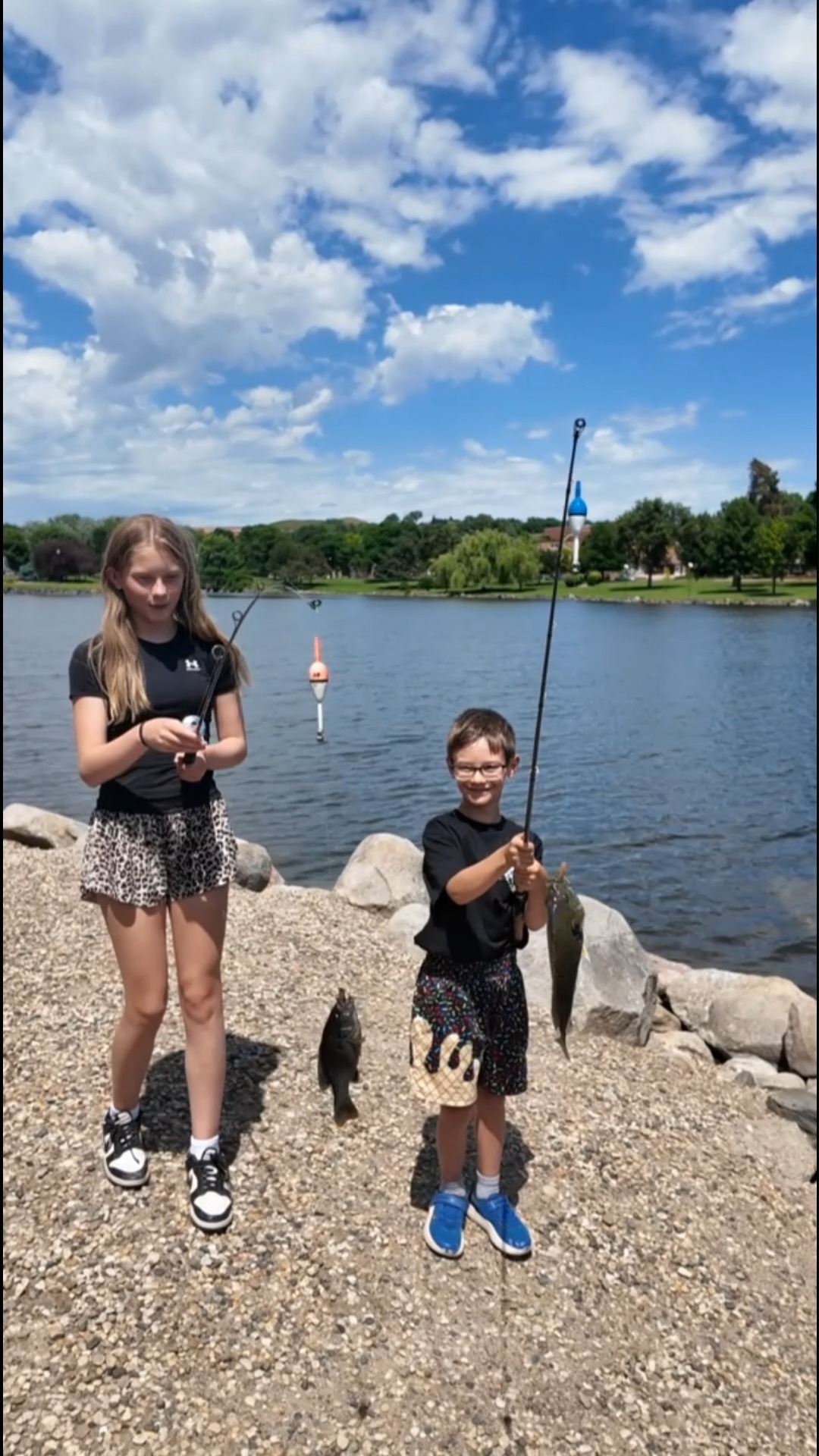 20m fishing pole antenna Shark Antennas S-FM20 Mono Band HF 20 Meter Mini Mobile Vertical with 3/8x24 Threads, Handles 250W Max Daiwa Freams LT Spinning Color:Bule survival tackle duty fiberglass construction