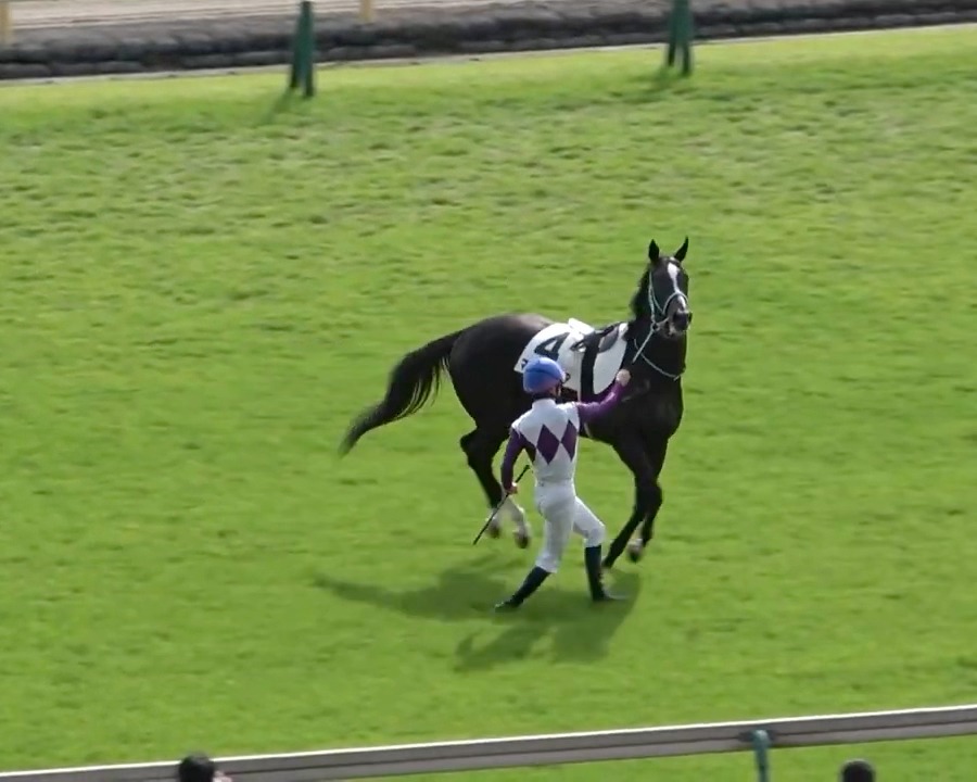 DEEP IMPACT is 17 now and still looking magnificent