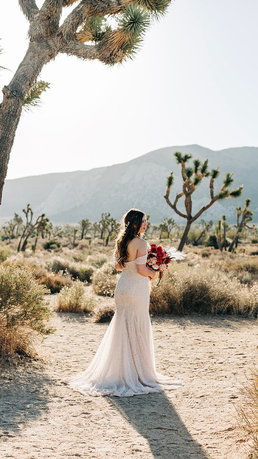Did you know you can thrift wedding dresses?!, I feel like I see so many people wanting cheaper or more sustainable alternatives for wedding clothes. , But they never check the thrift stores! I was 