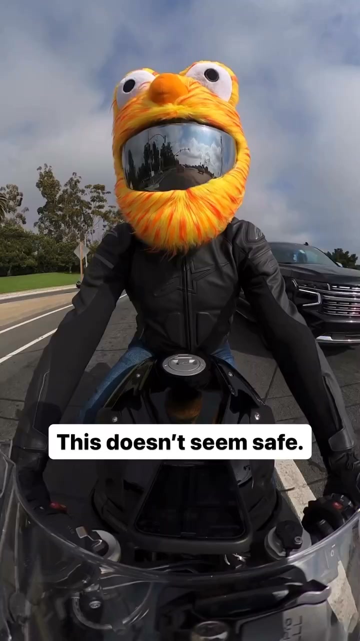 animal muppet motorcycle helmet Cover | Blue Elmo Cartoon Frog Made from red fluffy faux fur Elmo Sesame Street Animal Muppet