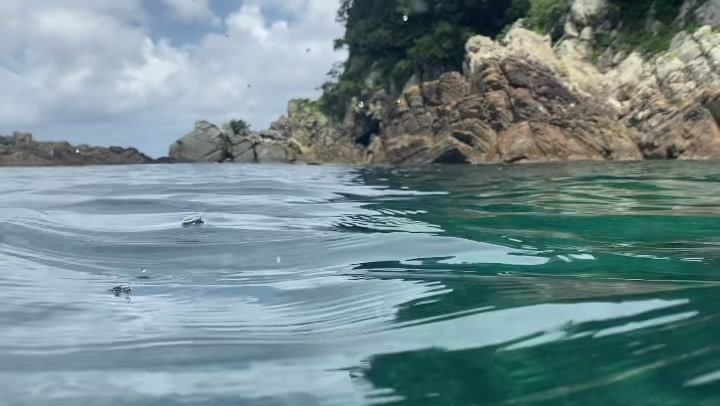 五島列島福江島 海探検キャンプ Sense Of Nature センス オブ ネイチャー Facebook