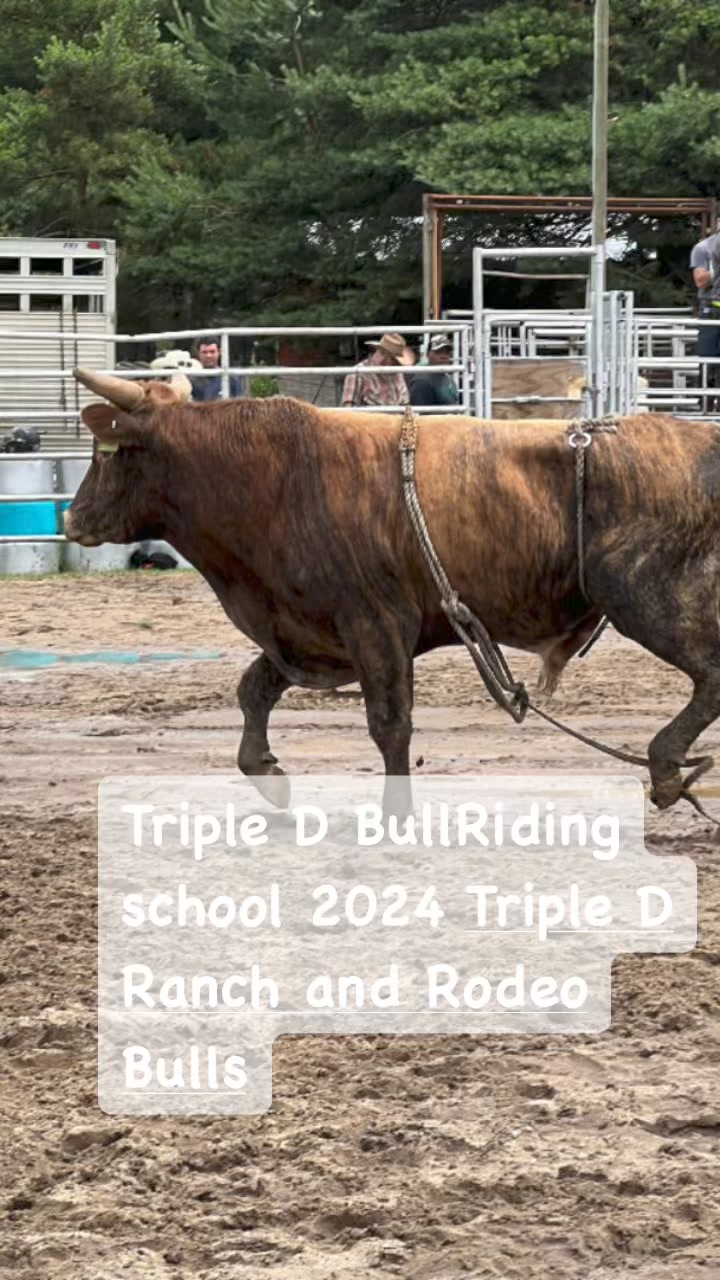 Triple D Ranch and Rodeo Bulls | Facebook