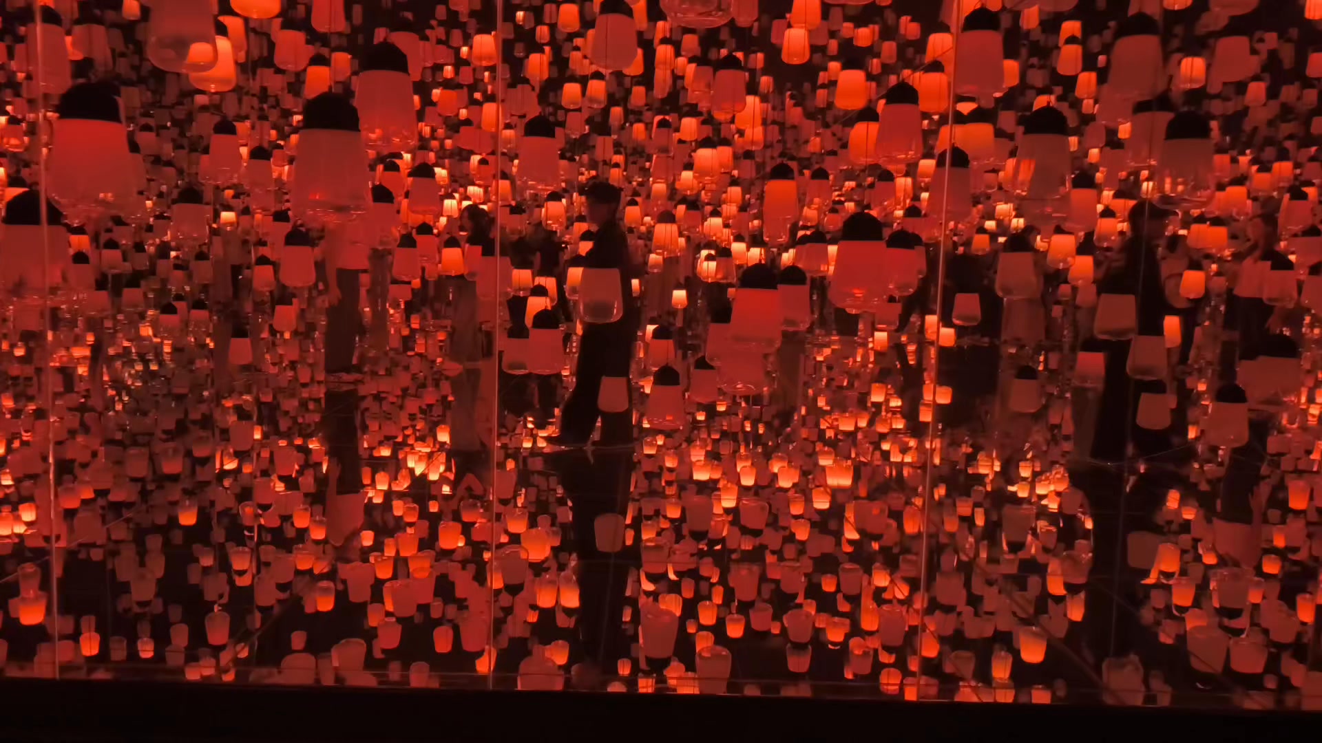 teamLab Biovortex Kyoto #One Stroke - a Year in the Mountains