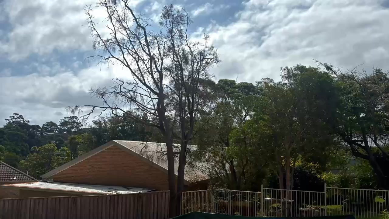 ABOVE THE REST TREE CARE!! No matter the size of the job Above The Rest ...