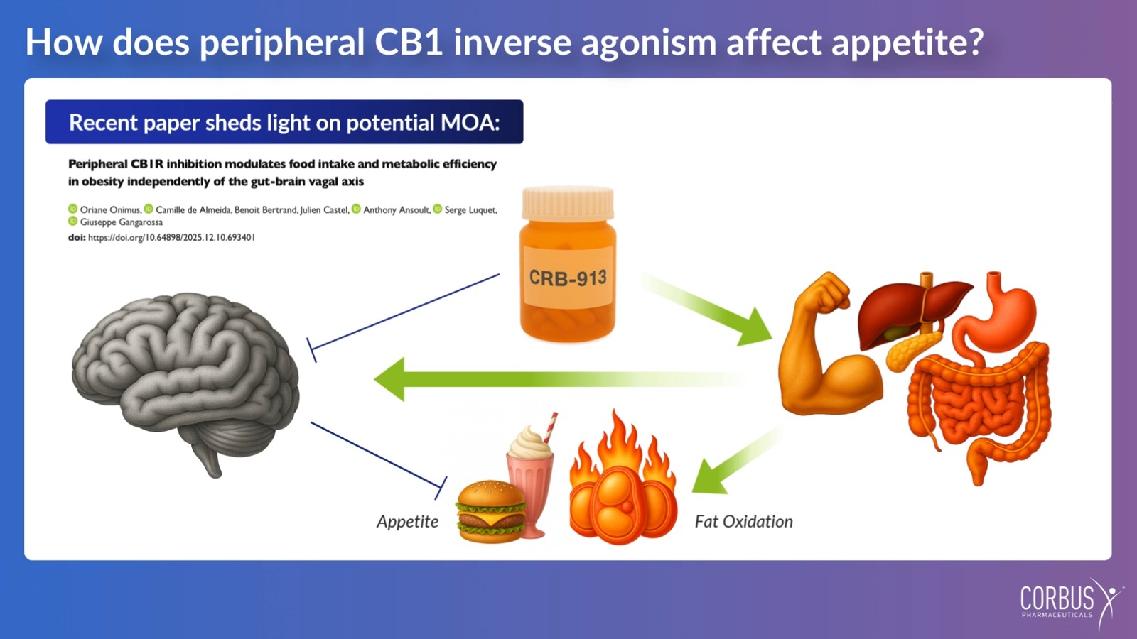 Incretin therapies like tirzepatide and semaglutide have transformed #obesity care, but urgent unmet clinical needs remain. Early research on CRB-913 indicates it may significantly amplify the 