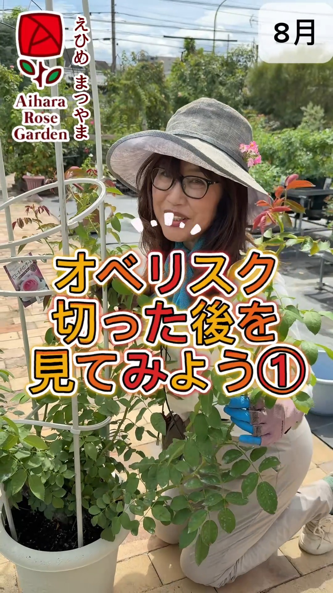 相原バラ園 | Matsuyama Ehime
