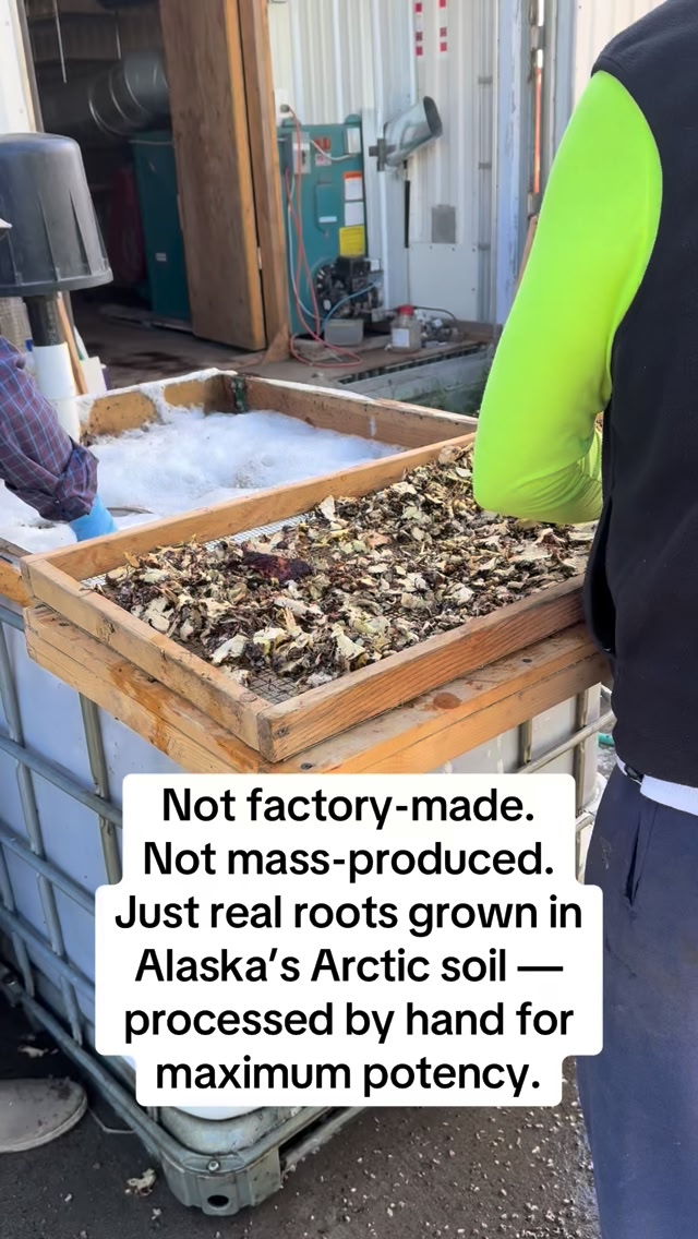 That’s why Alaskan-grown Rhodiola hits different. Higher actives. No ...