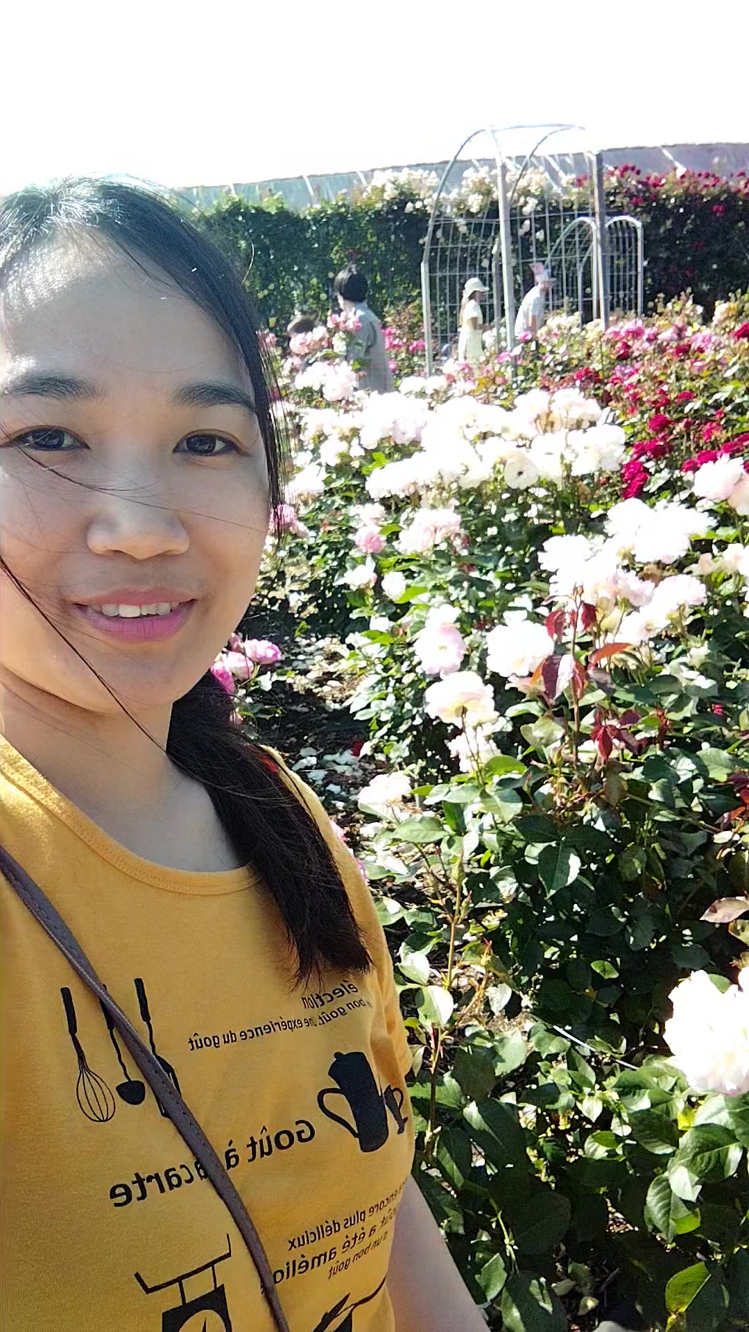 Fuji City's Hiromi Park rose garden with Mt. Fuji views