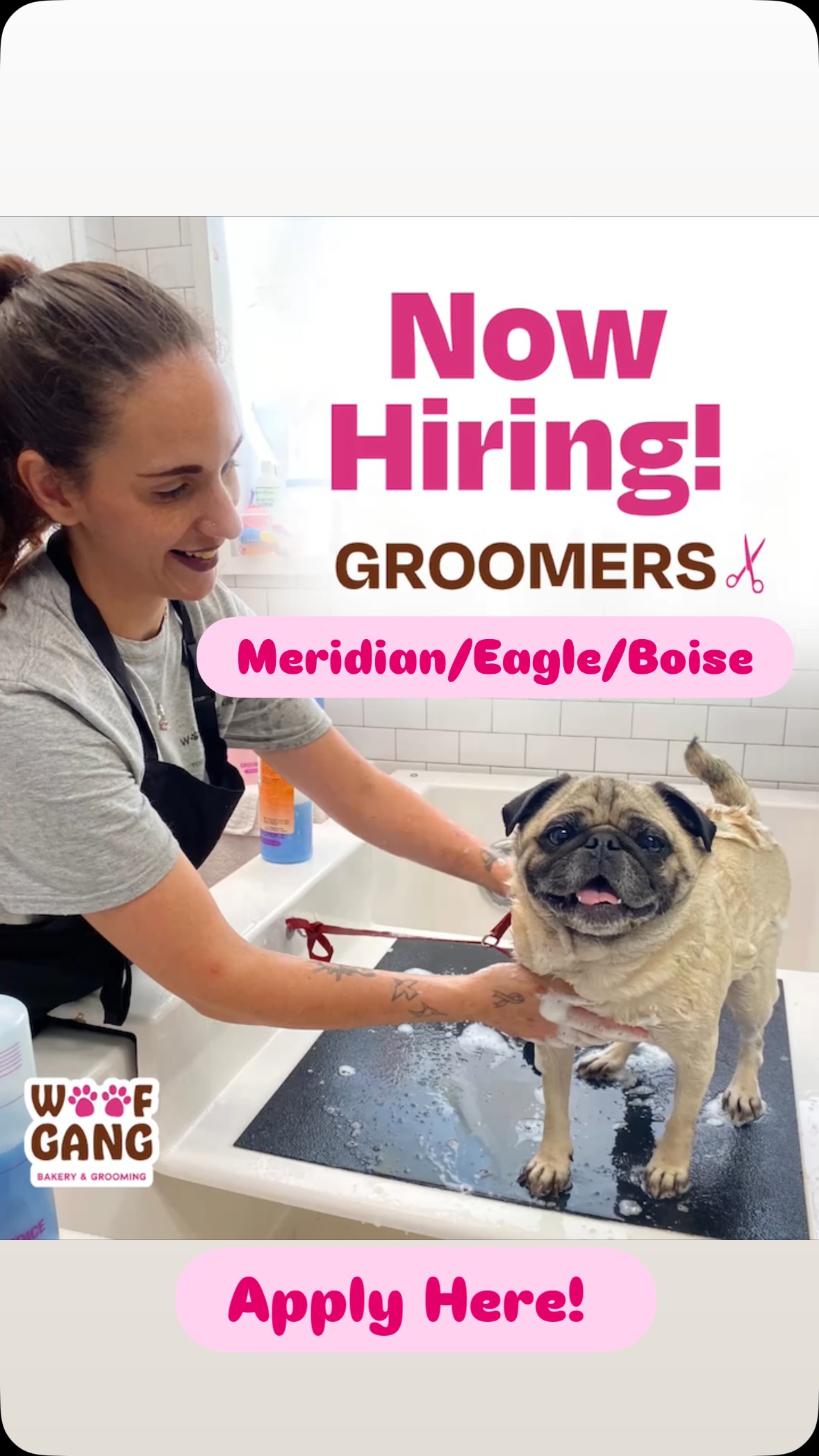 Woof Gang Bakery & Grooming Carriage Crossing | Boise ID